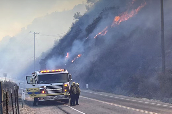 Learning from the fires