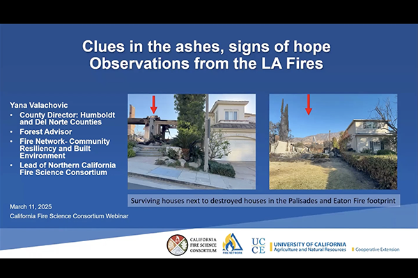 Lessons Learned from the Palisades and Eaton Fires